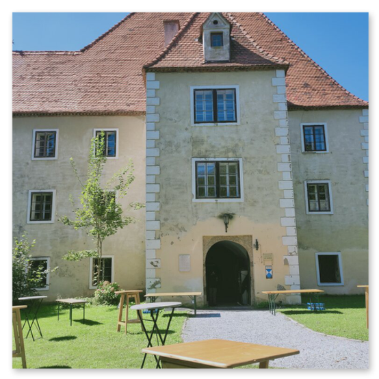 Ausstellung im Schloß Alt Kainach, Skulpturen und Masken aus Keramik, gemeinsam mit Monika Barwig und Hans Giegerl. Reger Andrang bei der Vernisage, mindestens 300 Besucher